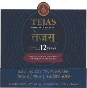 TEJAS (and logo) trademark logo