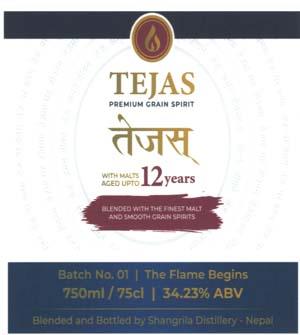 TEJAS (and logo) trademark logo