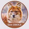 SAVE DHOLE (and logo) trademark logo