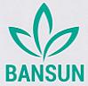 BANSUN (and logo) trademark logo