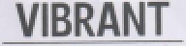 VIBRANT (and logo) trademark logo
