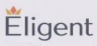 ELIGENT (and logo) trademark logo