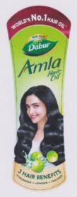 DABUR AMLA HAIR OIL (and logo) trademark logo