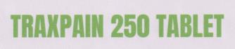 TRAXPAIN 250 (and logo) trademark logo