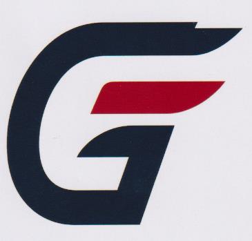 GAYATRI ELECTRONICS (and logo) trademark logo