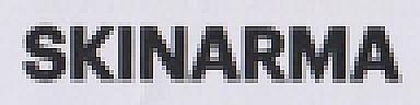 SKINARMA (and logo) trademark logo