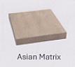 ASIAN MATRIK (and logo) trademark logo