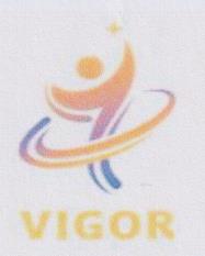 VIGOR (and logo) trademark logo