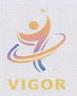 VIGOR (and logo) trademark logo