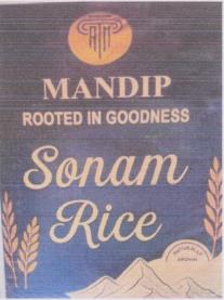 MANDIP (and logo) trademark logo