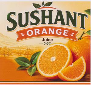 SUSHANT ORANGE (and logo) trademark logo