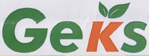 GEKS (and logo) trademark logo