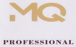 MQ PROFESSIONAL (and logo) trademark logo