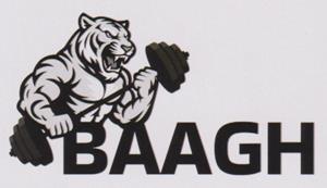 BAAGH (and logo) trademark logo