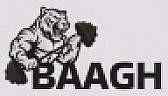 BAAGH (and logo) trademark logo