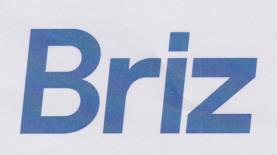 BRIZ (and logo) trademark logo