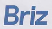 BRIZ (and logo) trademark logo