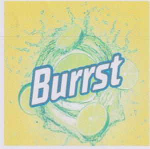 BURRST (and logo) trademark logo