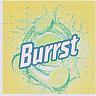 BURRST (and logo) trademark logo