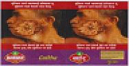 BORDER GOLD GUTKHA (and logo) trademark logo