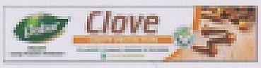 DABUR HERBAL CLOVE TOOTHPASTE (and logo) trademark logo