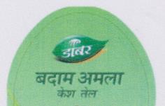 BADAM AMLA KESH TAIL (and logo) trademark logo