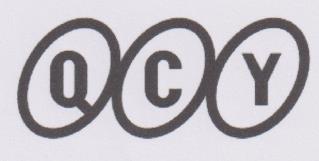 QCY (and logo) trademark logo