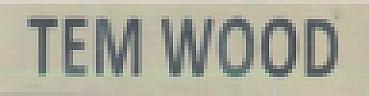 TEM WOOD (and logo) trademark logo