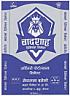 BADSHAH PREMIUM CEMENT (and logo) trademark logo