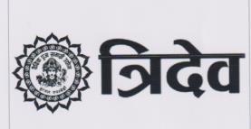TRIDEV (and logo) trademark logo