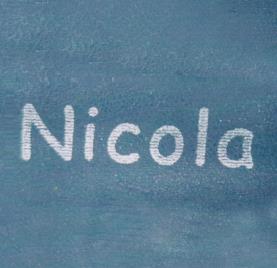 Nicola (and logo) trademark logo