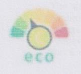 eco (and logo) trademark logo