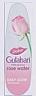 DABUR GULABARI PREMIUM ROSE WATER (and logo) trademark logo
