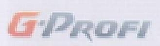 G-PROFI (and logo) trademark logo