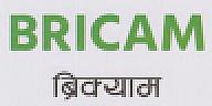 BRICAM (and logo) trademark logo