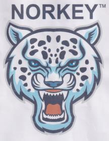 NORKEY (and logo) trademark logo
