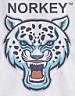 NORKEY (and logo) trademark logo