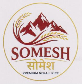 SOMESH (and logo) trademark logo