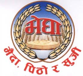 MEGHA (and logo) trademark logo
