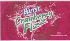 BURRST CRANBERRY FIZZ (and logo) trademark logo