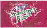 BURRST CRANBERRY FIZZ (and logo) trademark logo