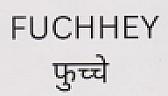 FUCHHEY (and logo) trademark logo