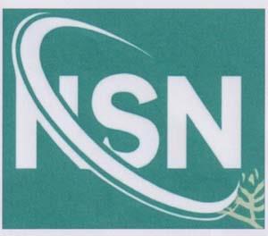 NSN (and logo) trademark logo