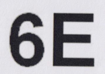 6E (and logo) trademark logo