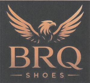 BRQ (and logo) trademark logo