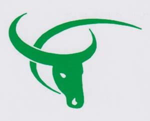 DEVICE MARK trademark logo