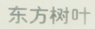 CHINESE CHARACTERS (and logo) trademark logo