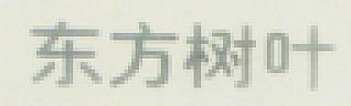 CHINESE CHARACTERS (and logo) trademark logo