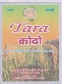 TARA KODO (and logo) trademark logo