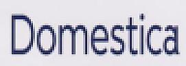 DOMESTICA (and logo) trademark logo